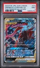 Greninja & Zoroark GX