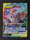 Greninja & Zoroark GX