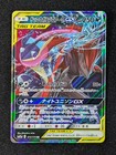 Greninja & Zoroark GX