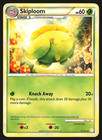 Skiploom