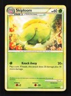 Skiploom