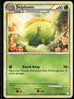 Skiploom