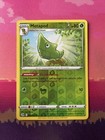 Metapod