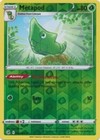 Metapod