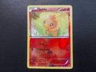 Torchic