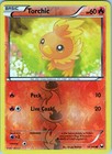 Torchic