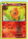 Torchic