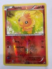 Torchic