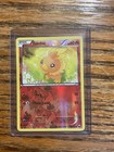 Torchic