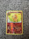 Torchic