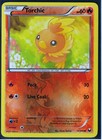 Torchic