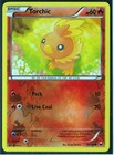 Torchic