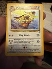 Pidgeot