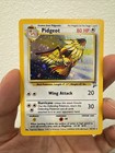 Pidgeot