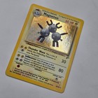Magneton