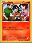 Tepig