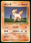 Ponyta