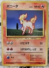 Ponyta