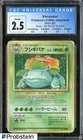 Turtwig