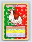Pidgey