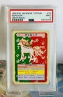 Rapidash