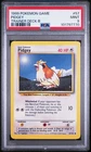 Pidgey