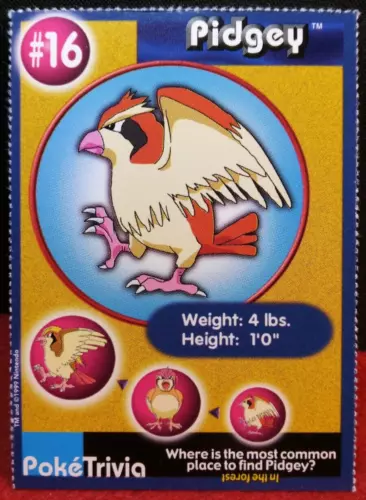 Pidgey