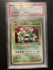 Bulbasaur and the Hidden Village