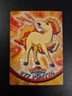 Ponyta