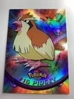 Pidgey