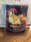 Pidgeotto
