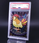 Pidgeotto