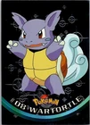 Wartortle
