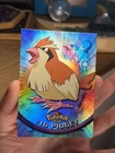 Pidgey