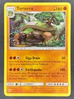 Torterra