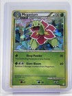 Meganium