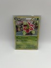 Meganium