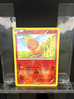 Torchic