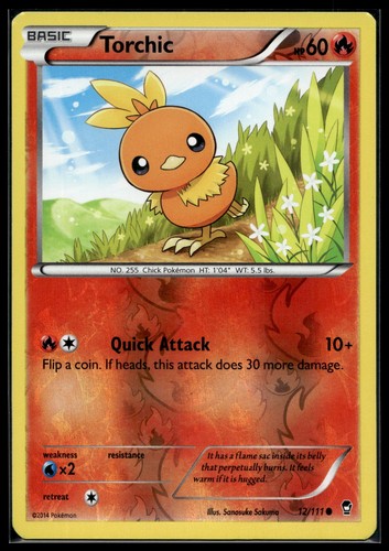 Torchic