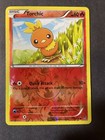 Torchic