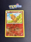 Torchic