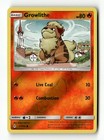Growlithe