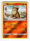Growlithe