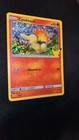 Cyndaquil
