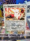 Zangoose