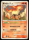 Rapidash