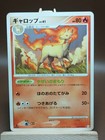 Rapidash
