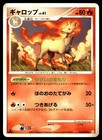 Rapidash