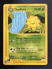 Sunflora