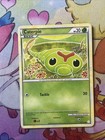 Caterpie